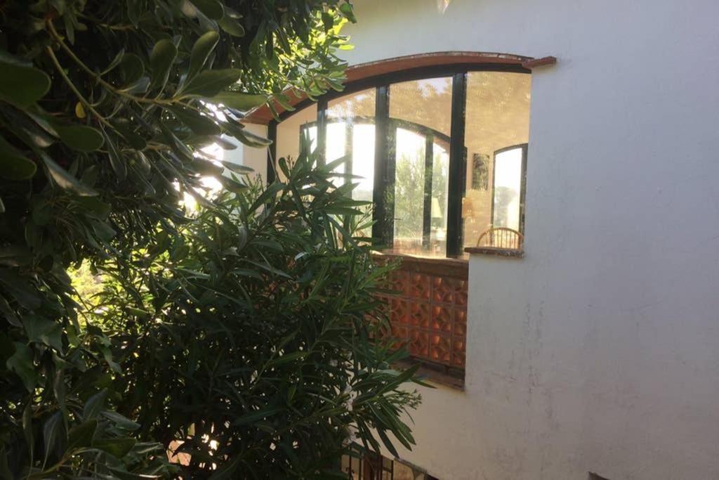 Jolie Villa vue mer - 100km au Nord de Barcelone - Pals Extérieur photo